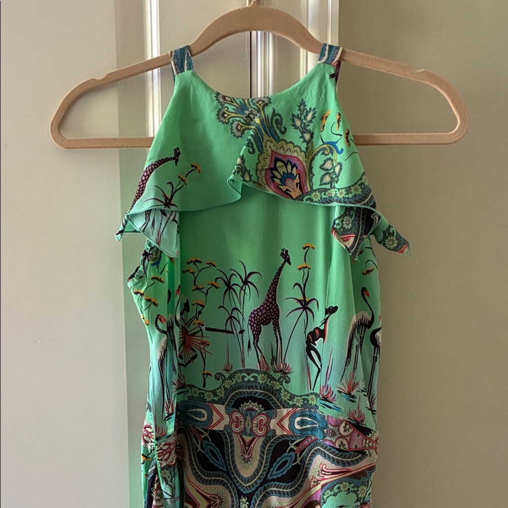 Etro Green Paisley beautiful Dress🌺💗 - Picture 4 of 8
